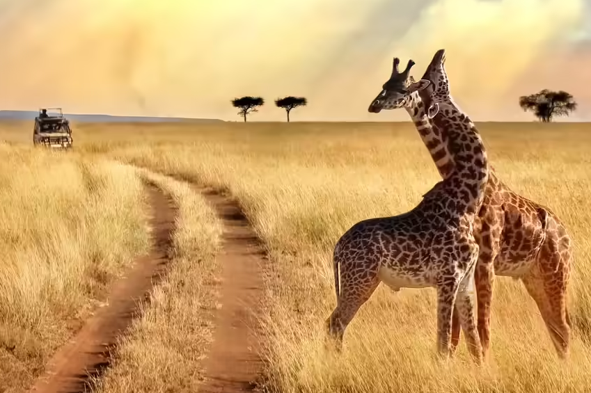 Kenya